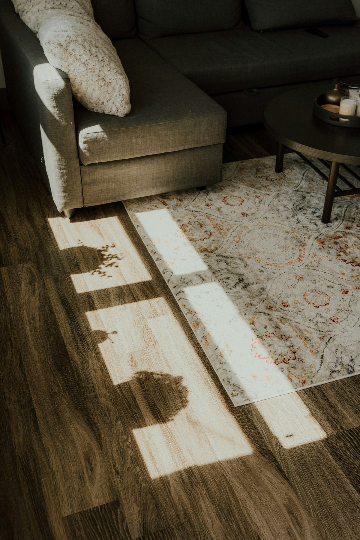 Sonnenlicht fällt auf Holzdielen vor einem Sofa